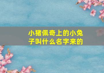 小猪佩奇上的小兔子叫什么名字来的