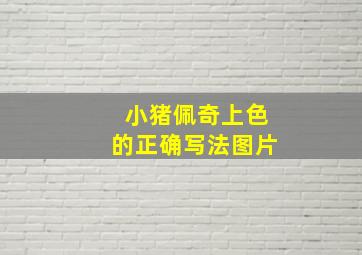 小猪佩奇上色的正确写法图片