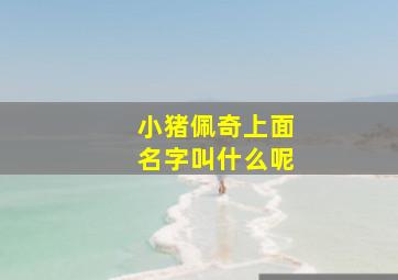 小猪佩奇上面名字叫什么呢