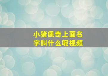 小猪佩奇上面名字叫什么呢视频