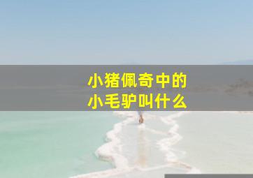 小猪佩奇中的小毛驴叫什么