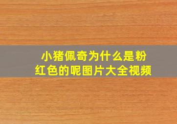 小猪佩奇为什么是粉红色的呢图片大全视频