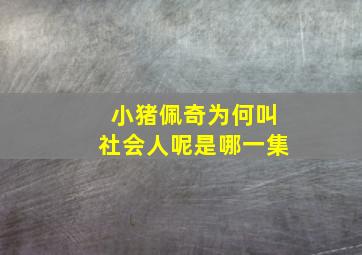 小猪佩奇为何叫社会人呢是哪一集