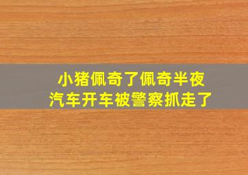 小猪佩奇了佩奇半夜汽车开车被警察抓走了