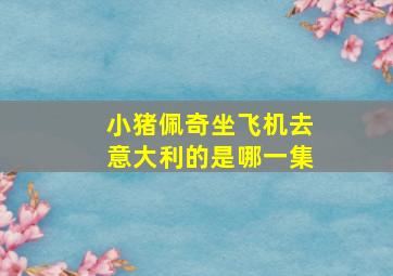 小猪佩奇坐飞机去意大利的是哪一集