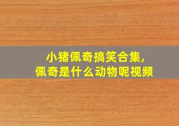 小猪佩奇搞笑合集,佩奇是什么动物呢视频