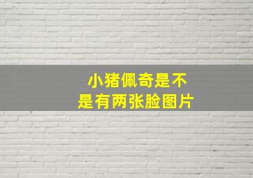 小猪佩奇是不是有两张脸图片