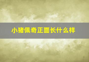 小猪佩奇正面长什么样