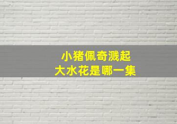 小猪佩奇溅起大水花是哪一集