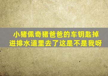 小猪佩奇猪爸爸的车钥匙掉进排水道里去了这是不是我呀