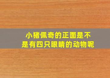 小猪佩奇的正面是不是有四只眼睛的动物呢