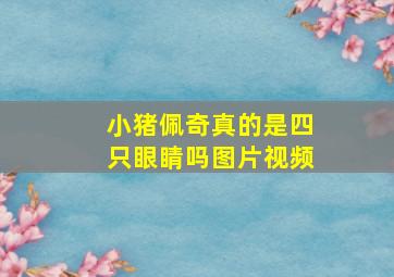 小猪佩奇真的是四只眼睛吗图片视频