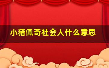 小猪佩奇社会人什么意思