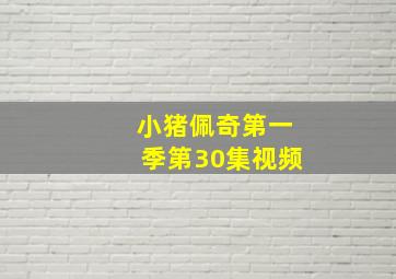 小猪佩奇第一季第30集视频