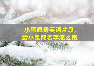 小猪佩奇英语片段,给小兔取名字怎么取