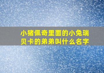 小猪佩奇里面的小兔瑞贝卡的弟弟叫什么名字