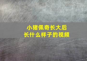 小猪佩奇长大后长什么样子的视频