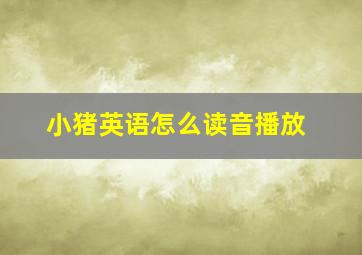 小猪英语怎么读音播放