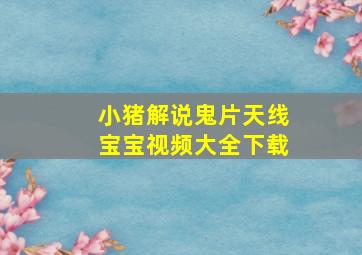 小猪解说鬼片天线宝宝视频大全下载