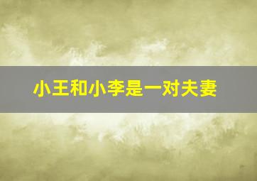 小王和小李是一对夫妻