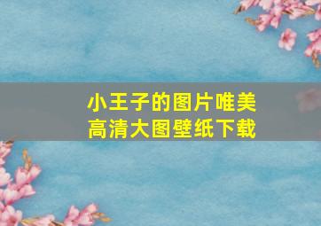 小王子的图片唯美高清大图壁纸下载