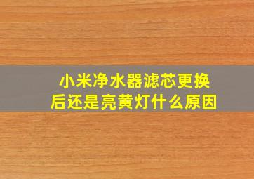 小米净水器滤芯更换后还是亮黄灯什么原因