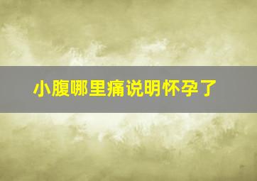 小腹哪里痛说明怀孕了