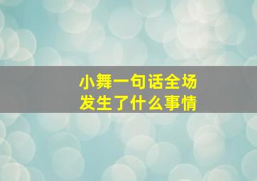 小舞一句话全场发生了什么事情