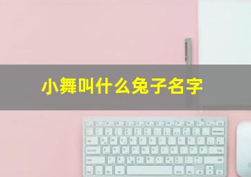 小舞叫什么兔子名字