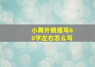 小舞外貌描写60字左右怎么写