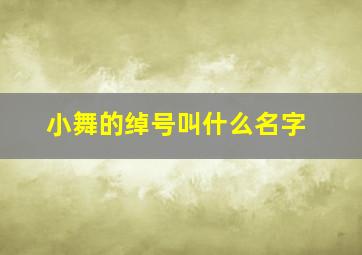 小舞的绰号叫什么名字