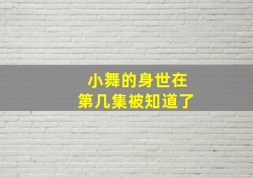 小舞的身世在第几集被知道了