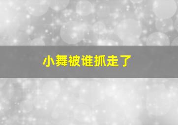 小舞被谁抓走了