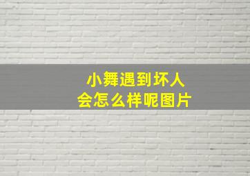 小舞遇到坏人会怎么样呢图片