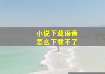 小说下载语音怎么下载不了