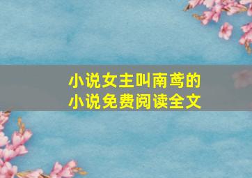 小说女主叫南鸢的小说免费阅读全文