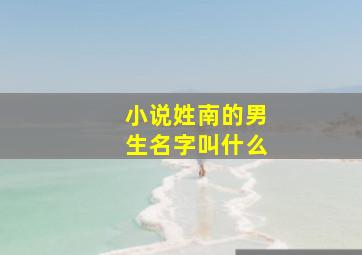 小说姓南的男生名字叫什么