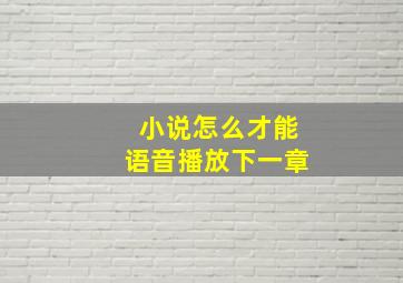 小说怎么才能语音播放下一章