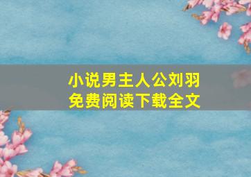 小说男主人公刘羽免费阅读下载全文