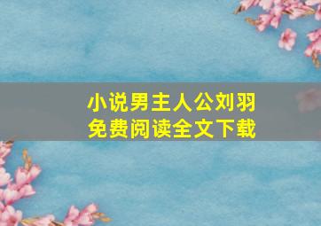 小说男主人公刘羽免费阅读全文下载