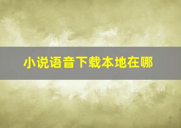 小说语音下载本地在哪