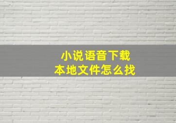 小说语音下载本地文件怎么找