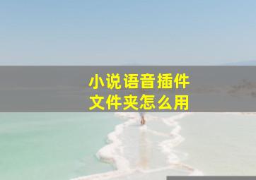 小说语音插件文件夹怎么用