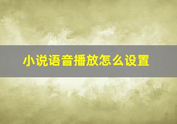 小说语音播放怎么设置