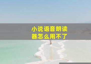 小说语音朗读器怎么用不了