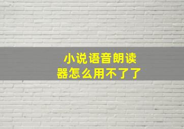 小说语音朗读器怎么用不了了