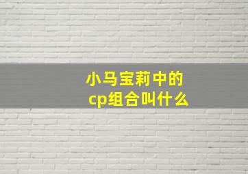 小马宝莉中的cp组合叫什么