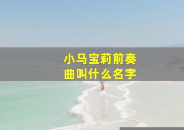 小马宝莉前奏曲叫什么名字