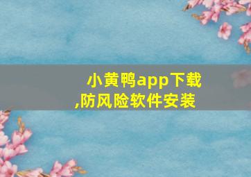 小黄鸭app下载,防风险软件安装