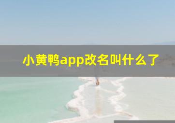 小黄鸭app改名叫什么了